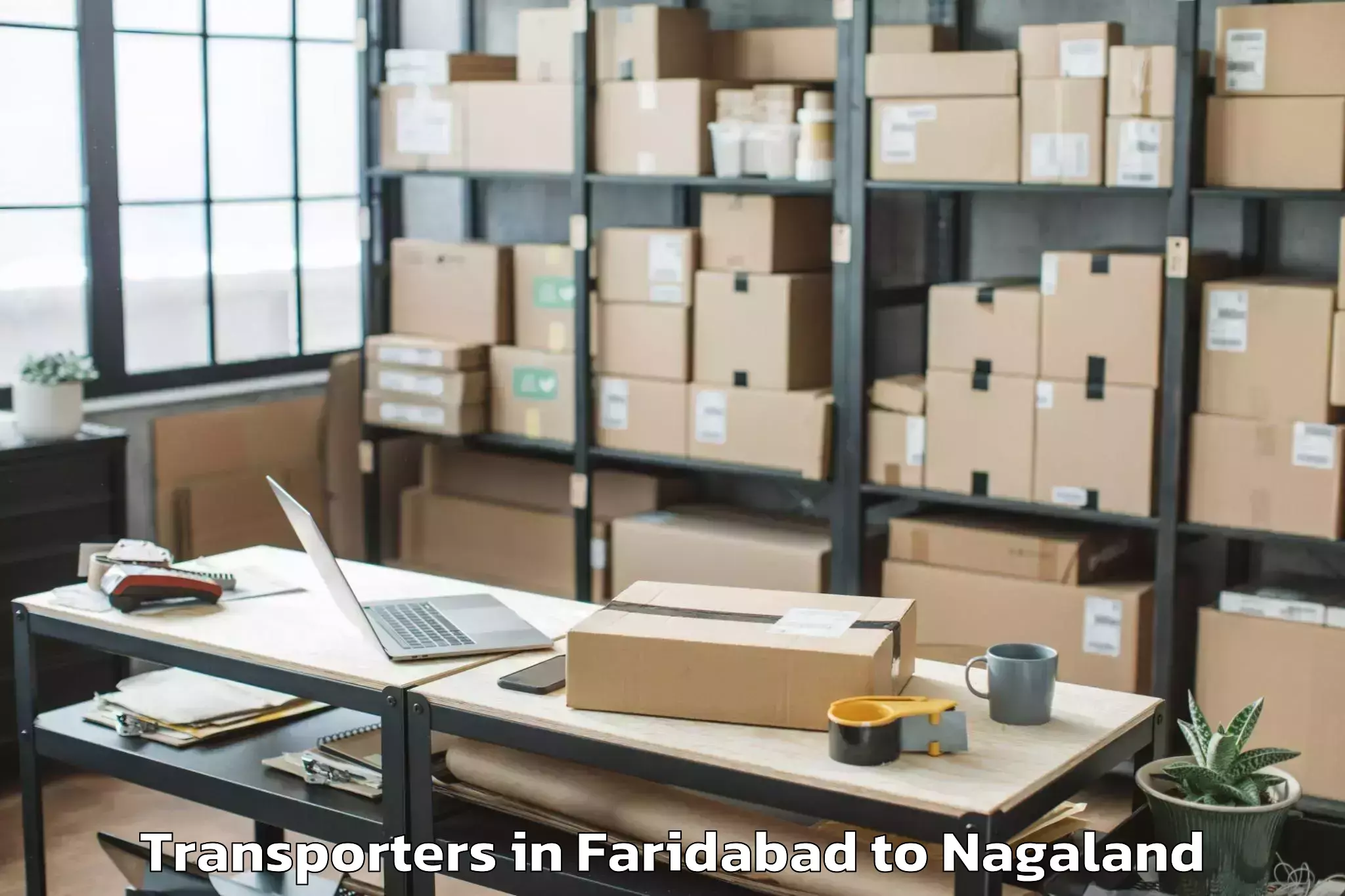 Book Faridabad to Noksen Transporters Online